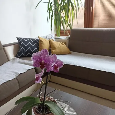 Appartement Bella Casa Free Parking *