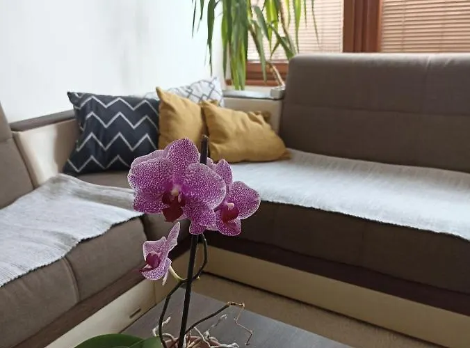 Apartamento Bella Casa Free Parking *